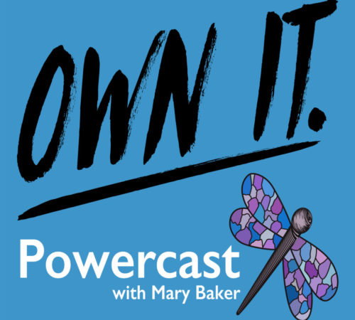 Soar Ownit! Powercast