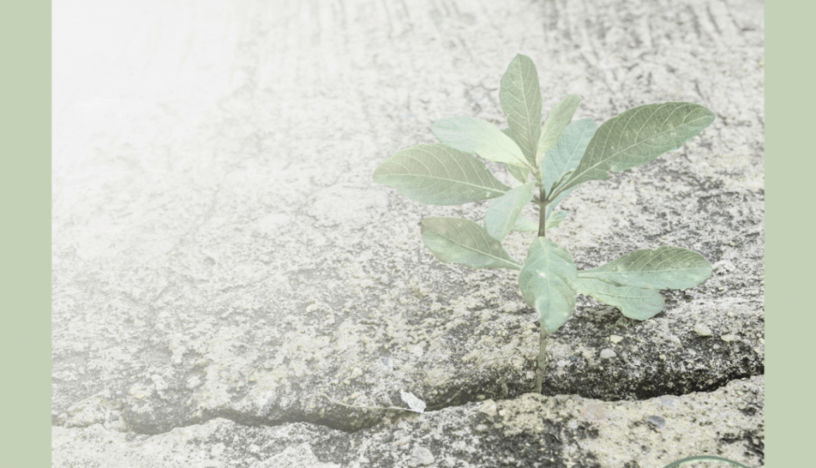 grow thru You Don’t Have to Keep Living Like You’re in a Fire