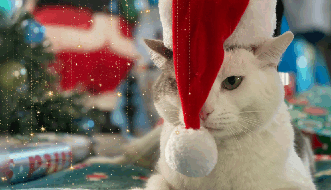 When Obligation, Guilt, and Fear Run the Holidays And How to Take Your Self-Care Back